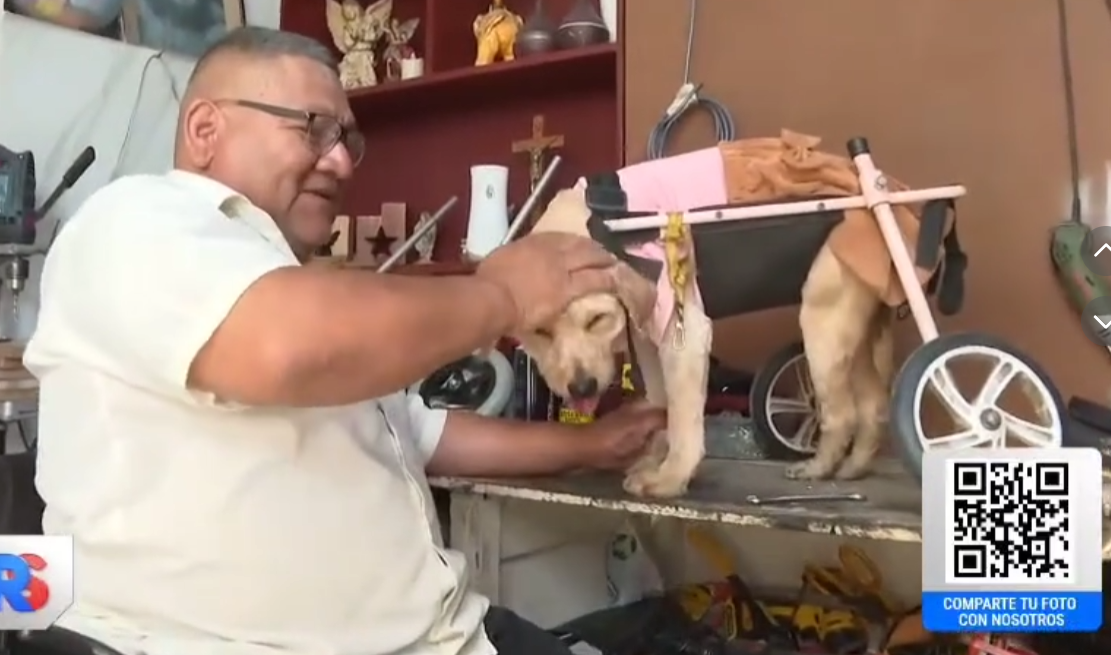 Pequeños pasos, grandes cambios