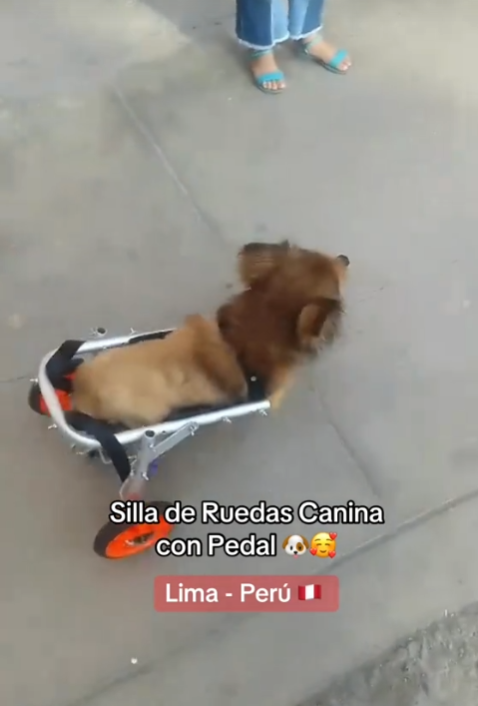 Nuevas aventuras juntos